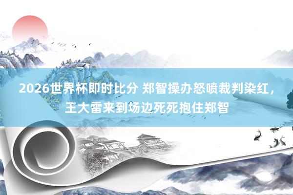 2026世界杯即时比分 郑智操办怒喷裁判染红，王大雷来到场边死死抱住郑智