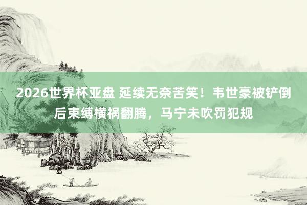 2026世界杯亚盘 延续无奈苦笑！韦世豪被铲倒后束缚横祸翻腾，马宁未吹罚犯规