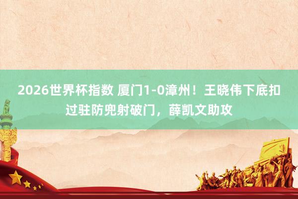 2026世界杯指数 厦门1-0漳州！王晓伟下底扣过驻防兜射破门，薛凯文助攻