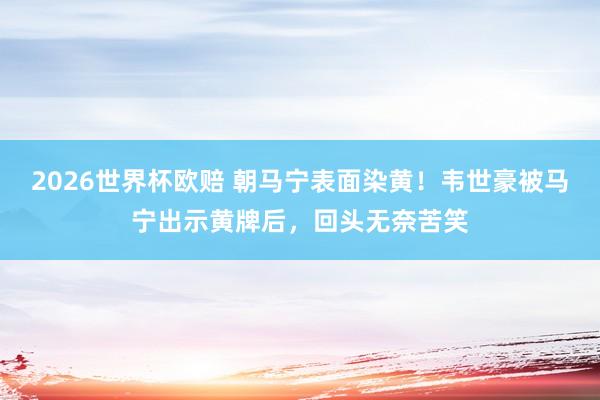 2026世界杯欧赔 朝马宁表面染黄！韦世豪被马宁出示黄牌后，回头无奈苦笑