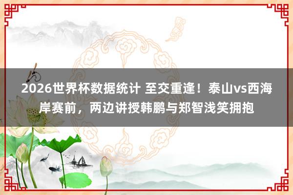 2026世界杯数据统计 至交重逢！泰山vs西海岸赛前，两边讲授韩鹏与郑智浅笑拥抱