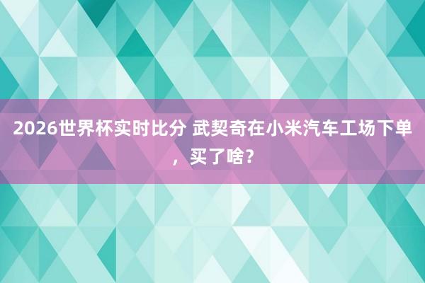 2026世界杯实时比分 武契奇在小米汽车工场下单,买了啥?