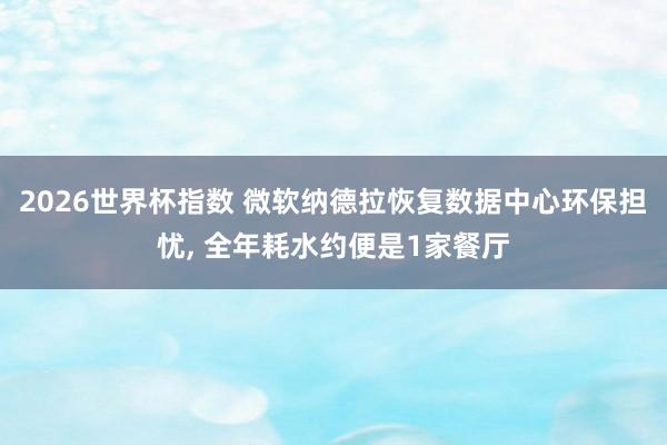 2026世界杯指数 微软纳德拉恢复数据中心环保担忧, 全年耗水约便是1家餐厅