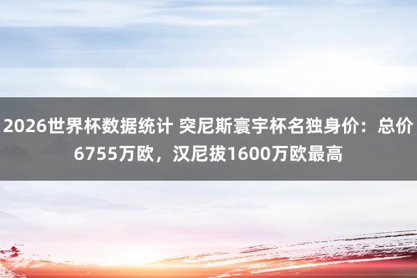 2026世界杯数据统计 突尼斯寰宇杯名独身价:总价6755万欧,汉尼拔1600万欧最高