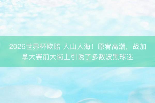 2026世界杯欧赔 人山人海!原宥高潮,战加拿大赛前大街上引诱了多数波黑球迷