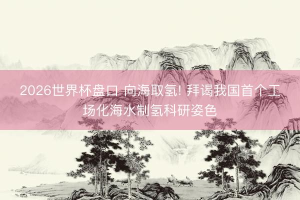 2026世界杯盘口 向海取氢! 拜谒我国首个工场化海水制氢科研姿色