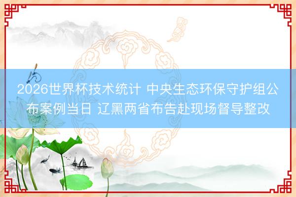 2026世界杯技术统计 中央生态环保守护组公布案例当日 辽黑两省布告赴现场督导整改
