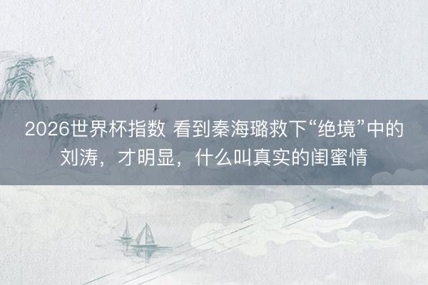 2026世界杯指数 看到秦海璐救下“绝境”中的刘涛,才明显,什么叫真实的闺蜜情